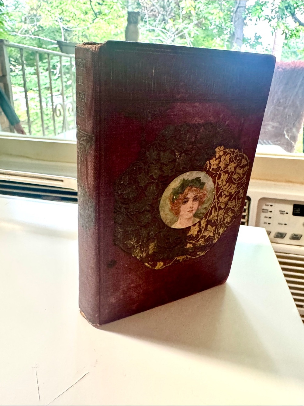 Authentic 1900s Paperback Book with Aged Cream Pages and Black Text